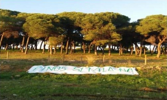 Protesta en Alcalá de Guadaira a cuenta de la tala de 877 pinos en un paraje de titularidad privada