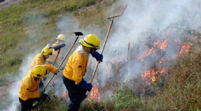 El Ibanat abre bolsines para trabajadores forestales y vigilantes