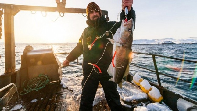El Cambio Climático merma las capturas pesqueras