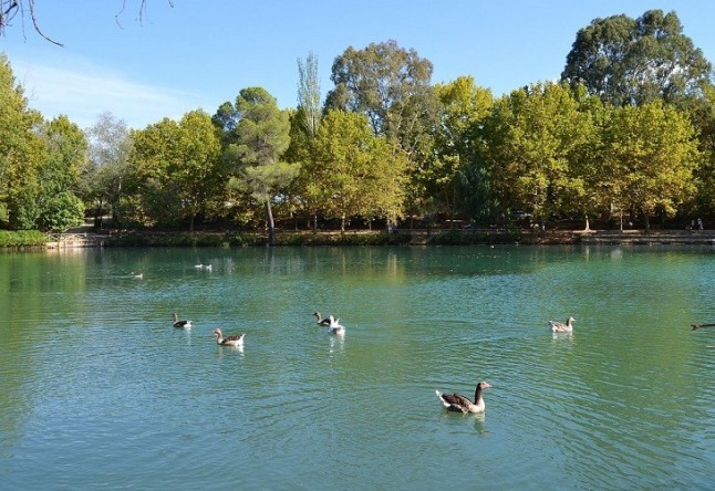 LAlbufera puede y debe volver a ser un lago lleno de vida