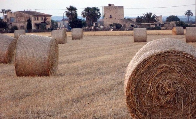 Un total de 282 agricultores profesionales cobran las ayudas para el mantenimiento del paisaje agrario