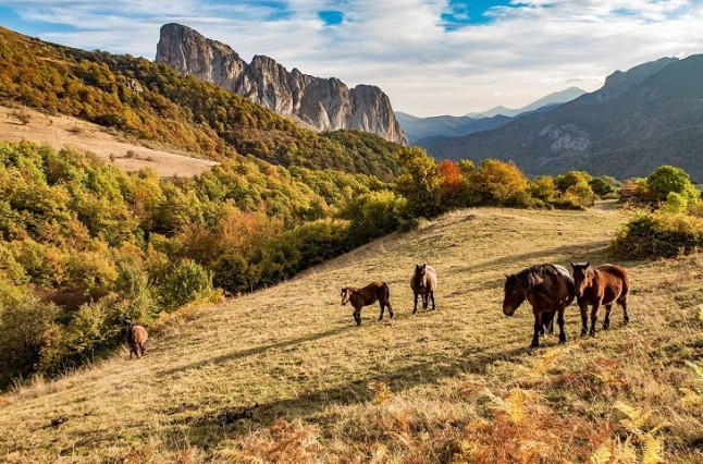 18 proyectos en la Red de Espacios Naturales Protegidos de Cantabria reciben subvenciones por 300.000 euros