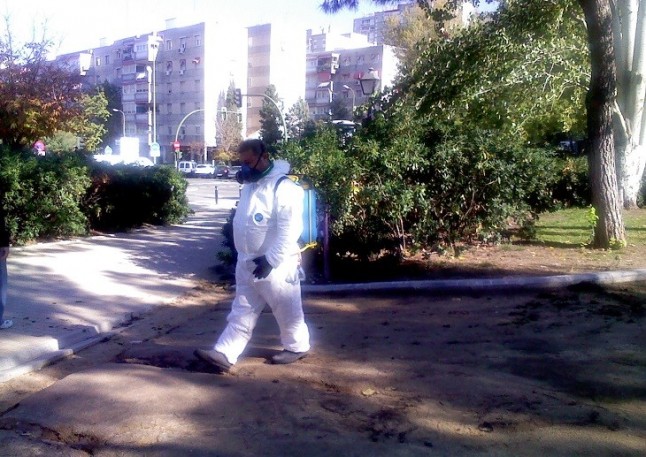 Alerta. El Ayuntamiento de Sevilla vuelve a usar glifosato en parques y jardines