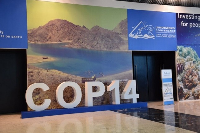 Cumbre Mundial de Diversidad Biológica que se celebra en Sharm El-Sheick (Egipto)