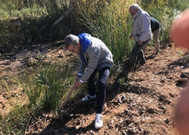 Gesa Mediación se suma a la protección medioambiental con la iniciativa Planta un bosque de AEMA