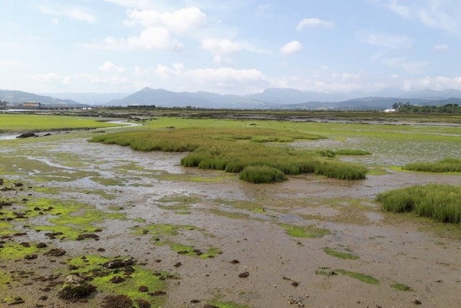 Desaparece la Consejería de Medio Ambiente en Andalucía