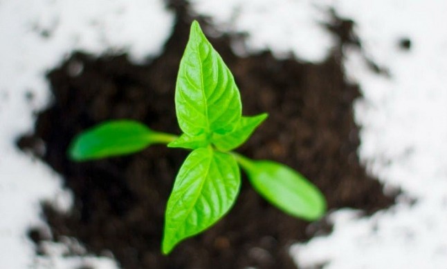 España en el pelotón de los torpes de Europa en recaudación por impuestos ambientales