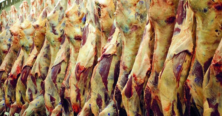 Devastar la selva de Brasil para fabricar hamburguesas