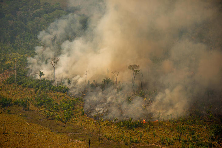 Los incendios en la Amazonía siguen fuera de control pese a la “moratoria” de Bolsonaro