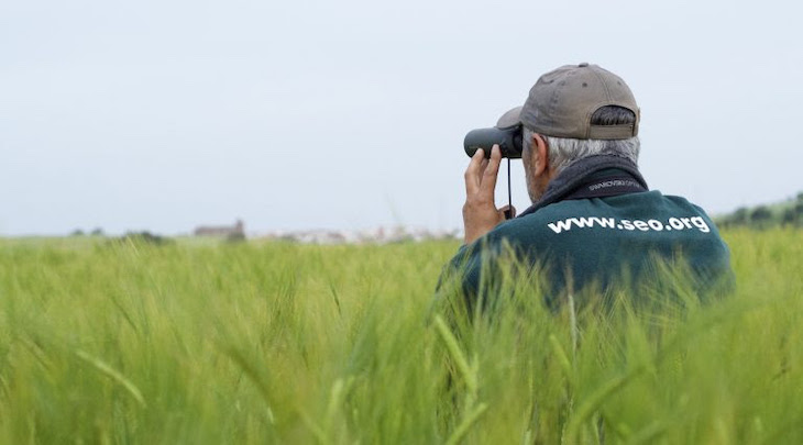 XXI Maratón Ornitológica de SEO/BirdLife