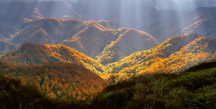 Climate Neutral Now apoyando a los Objetivos de Desarrollo Sostenible (ODS)