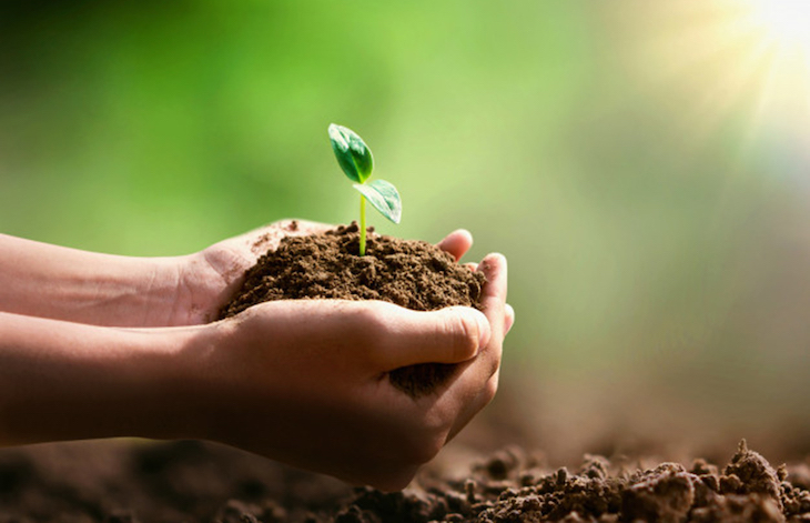 Pacto Verde Europeo: La Comisión presenta medidas para impulsar la producción ecológica