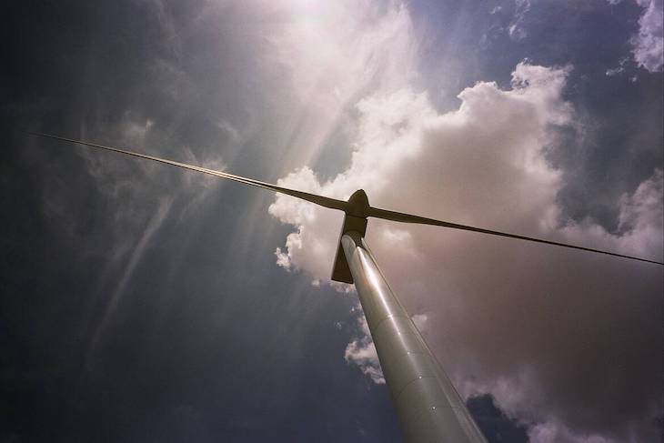 Reclamamos con Ecologistas en Acción y SEO/BirdLife enmiendas a la Ley de Cambio Climático que eviten que las energías renovables impacten negativamente en la biodiversidad