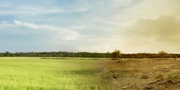 Pasito a pasito: ‘Acción climática empresarial’