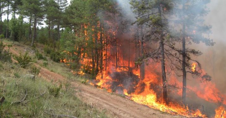 En Soria todo está a punto para afrontar la campaña de incendios