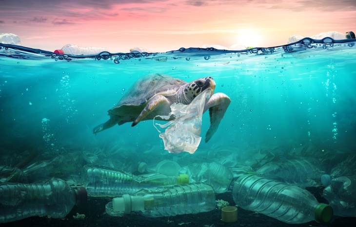 Día Mundial de los Océanos