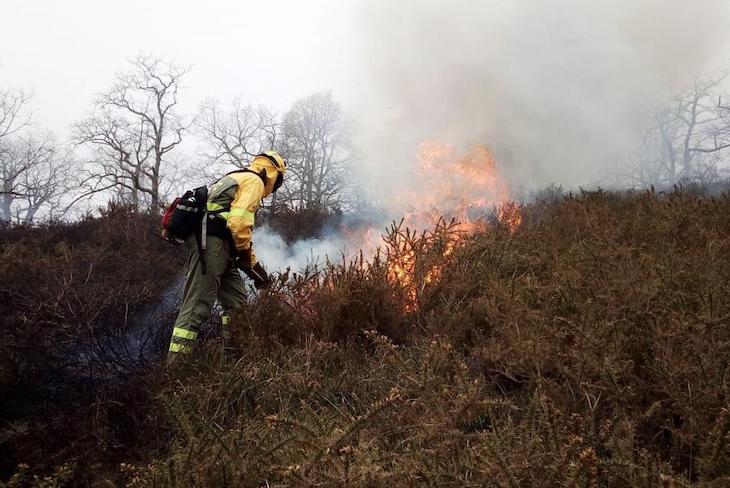 La Región de Murcia refuerza medios humanos y materiales para luchar contra los incendios forestales