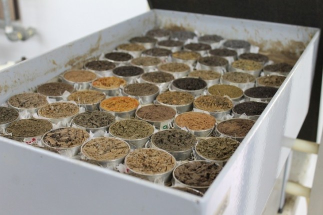 El instituto IGS-UMA