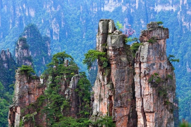 Conoce el Pandora de Avatar del Planeta Tierra