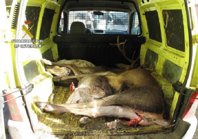 Cinco detenidos por robar en explotaciones ganaderas y por tenencia ilícita de armas