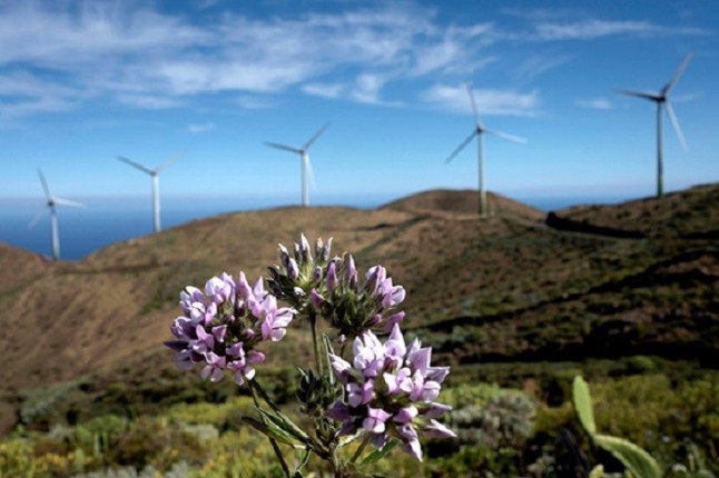 Los hachazos a los presupuestos para Medio Ambiente son impresentables