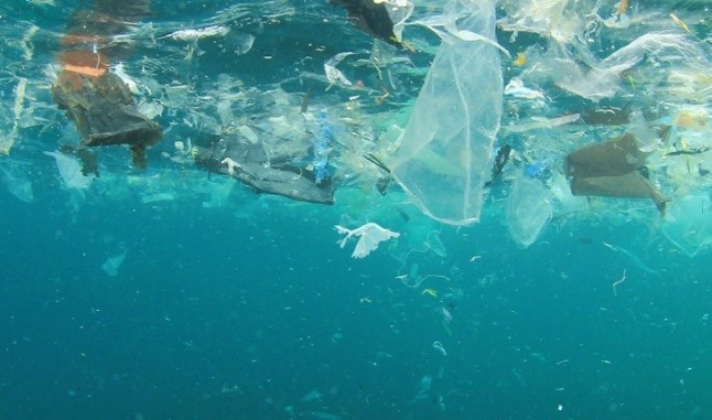 En 2050 habrá más toneladas de plástico que de peces en los océanos