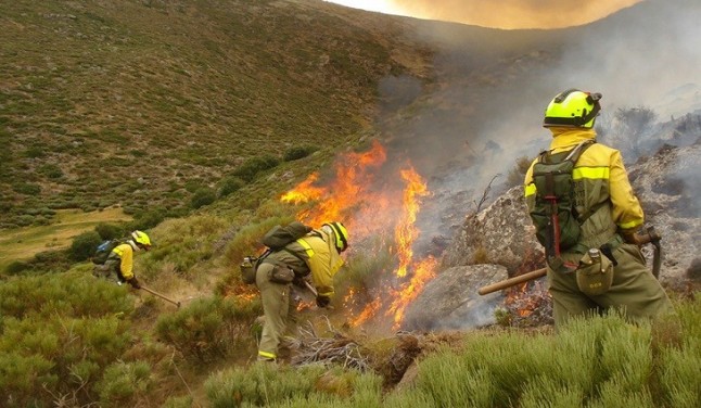 La Comunidad de Madrid registró un total de 255 incendios forestales