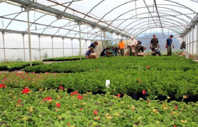 La provincia de Huesca arranca la Campaña de la Flor