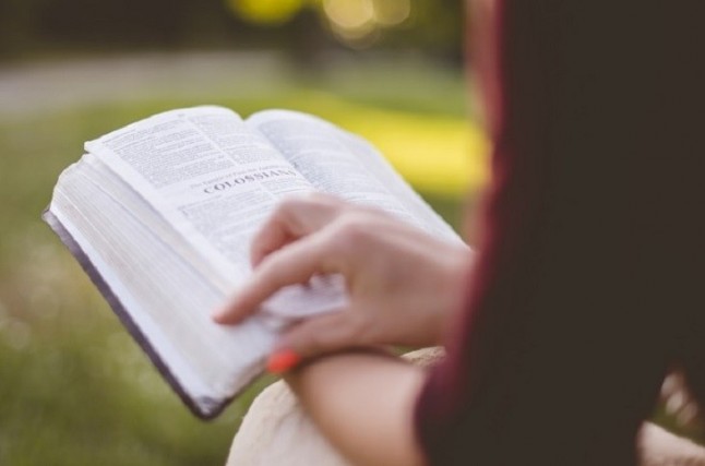 La Universidades Gallegas en el ranking 2018 de UI GreenMetric World University