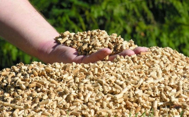 Castilla – La Mancha prepara un decreto para la utilización de biomasa en todos los edificios públicos regionales