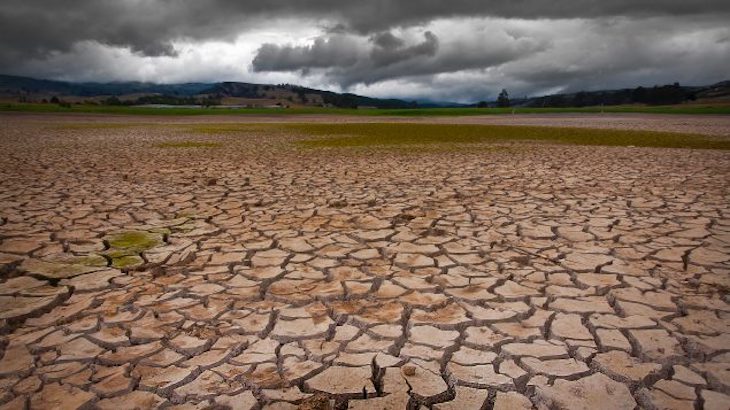El Grupo Español de Crecimiento Verde pide más ambición fiscal en la nueva Ley de Cambio Climático