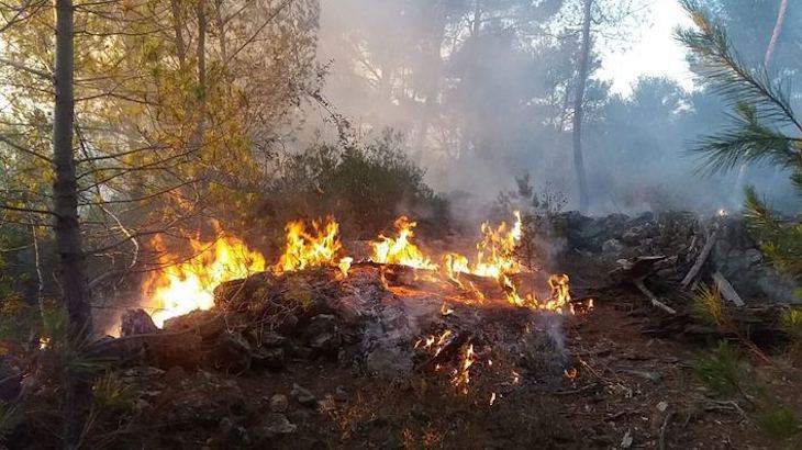 Extinguido un incendio forestal en Algaida que ha afectado a 0