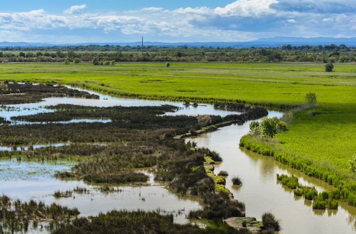 Enladrillando el Cabo de Gata y asfaltando Doñana