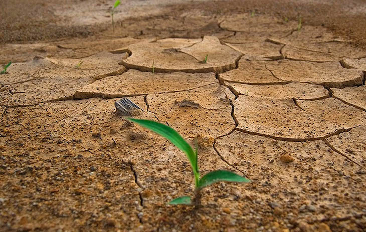La desertificación y la sequía precisa menos ‘regadio’
