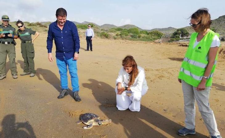 Liberan en Murcia 11 ejemplares de tortuga boba