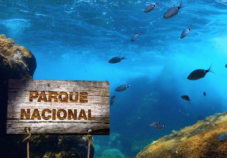 Quince medidas para salvar la naturaleza en España