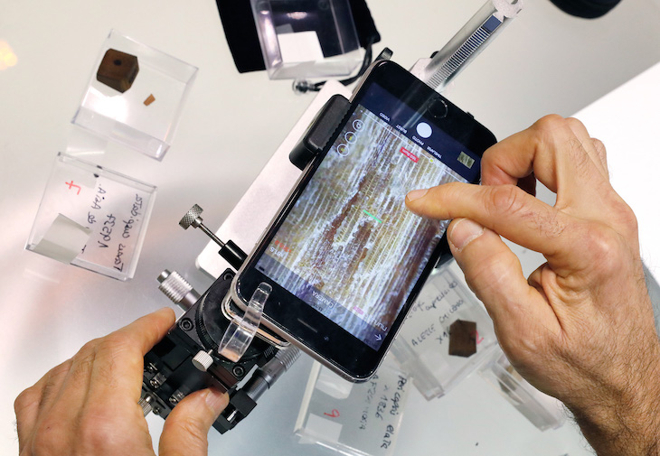 España lanza una herramienta para combatir el tráfico ilegal de madera