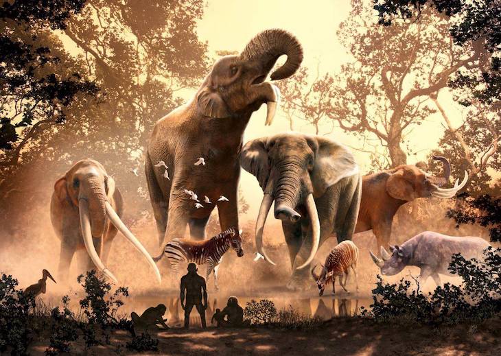 Describe el declive del linaje de elefantes