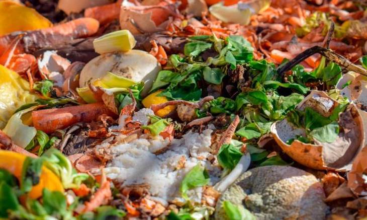 El Gobierno de Aragón se suma a la marea verde contra el desperdicio alimentario de Naciones Unidas