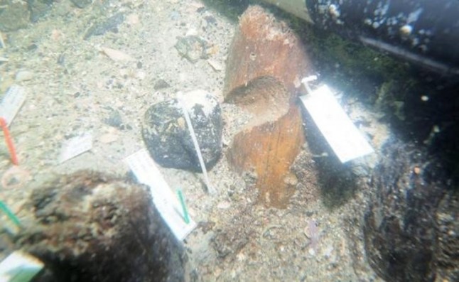 Fosas comunes prehistóricas se relacionan con tsunamis