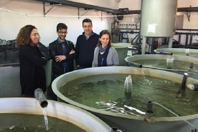 El Imida desarrolla un proyecto para producir piensos acuícolas naturales suplementados con microalgas marinas