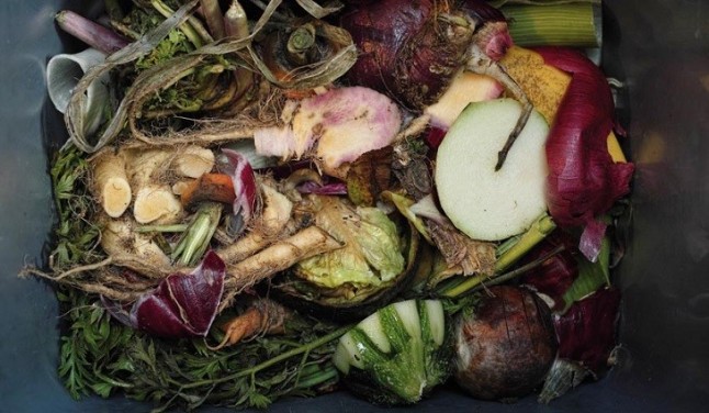 Galicia. Jornada sobre Biorresiduos que promueve Medio Ambiente