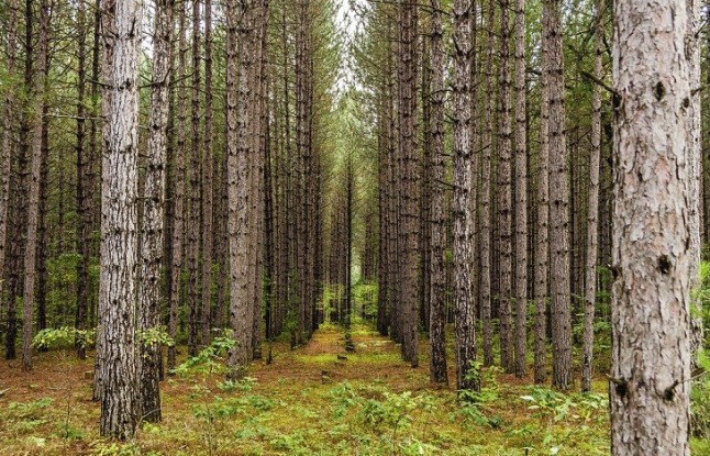 El papel del medio ambiente en las resistencias a los antibióticos