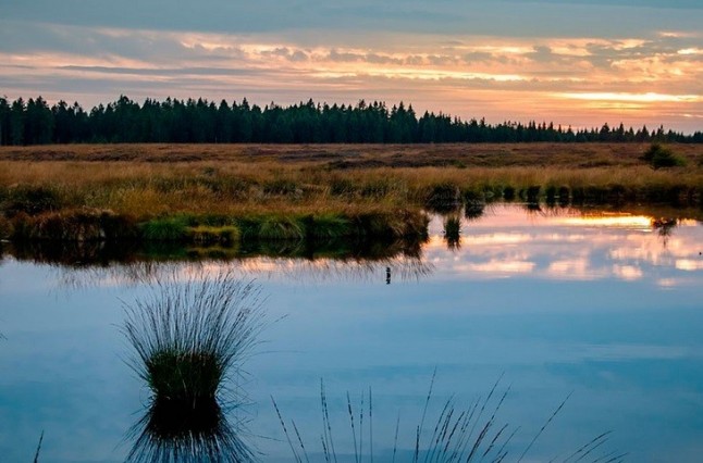 Los humedales españoles y el cambio climático