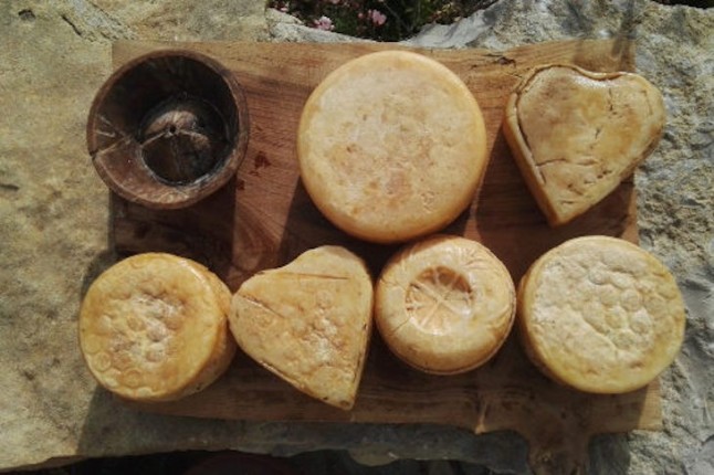 Un pastor de Castellón prepara el primer sistema de fabricación no contaminante de queso de oveja