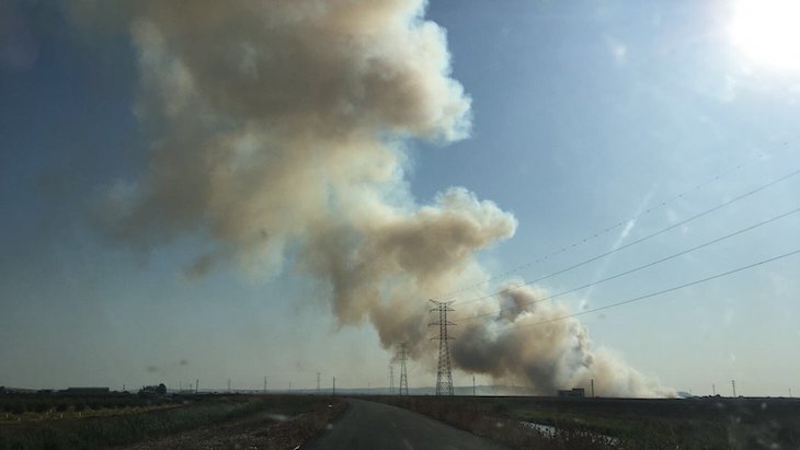 Asociaciones de conservación de la naturaleza piden controlar las quemas en el Canal de Castilla