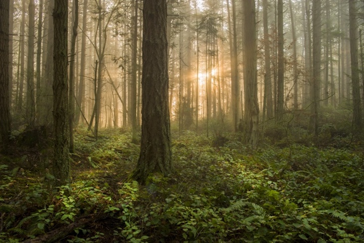 La Comunidad de Madrid invertirá en diversas actuaciones de mejora