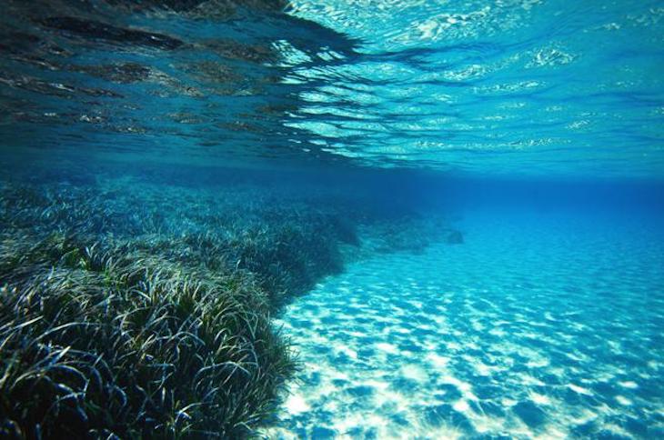 España alcanza el 13% de sus áreas marinas protegidas