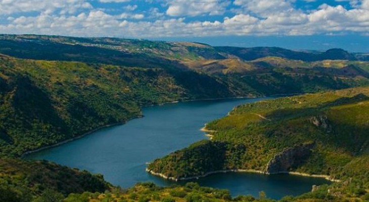Muestreos biológicos en ríos de la cuenca del rio Duero