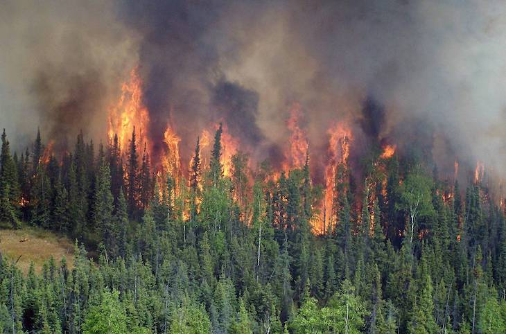 Incendios ‘zombis’ en Alaska y Canadá
